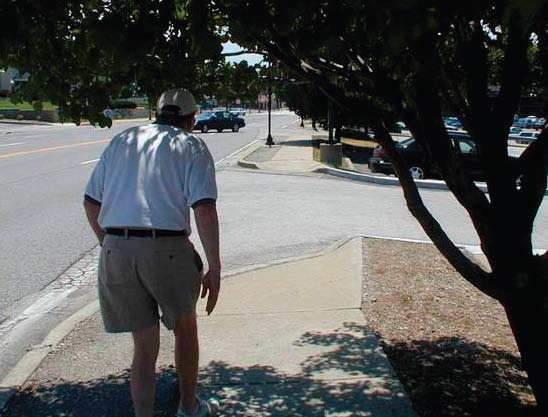 vegetationguide_img_24